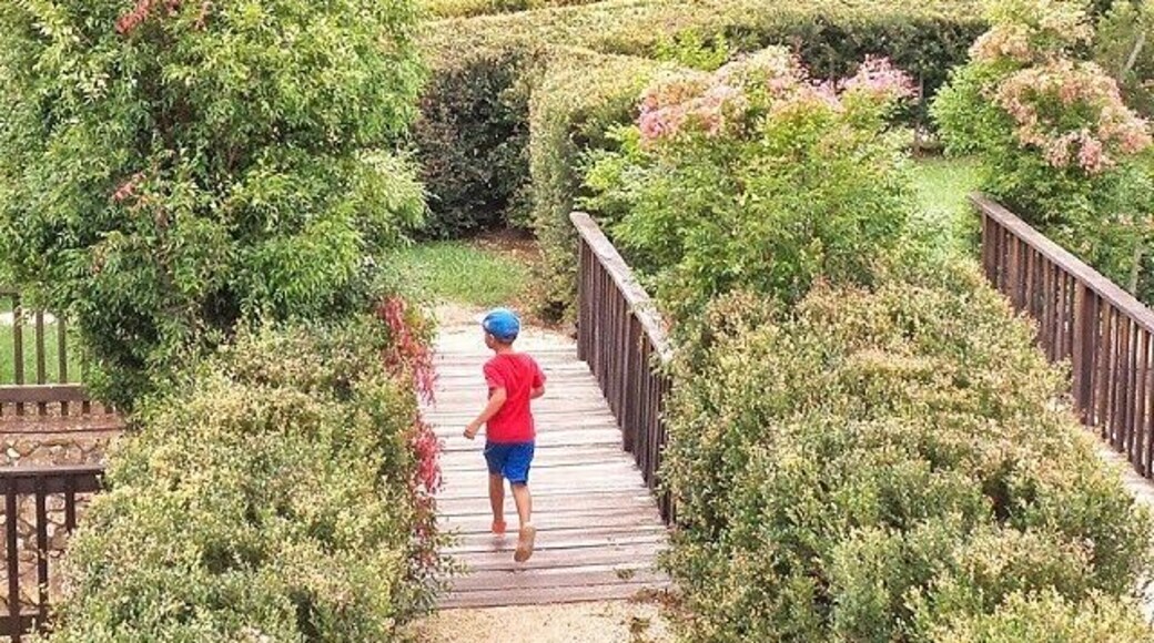 Bago Vineyards have an awesome hedge maze that is so much fun! Beautiful grounds, wine, coffee & snacks. Well worth a visit! :)