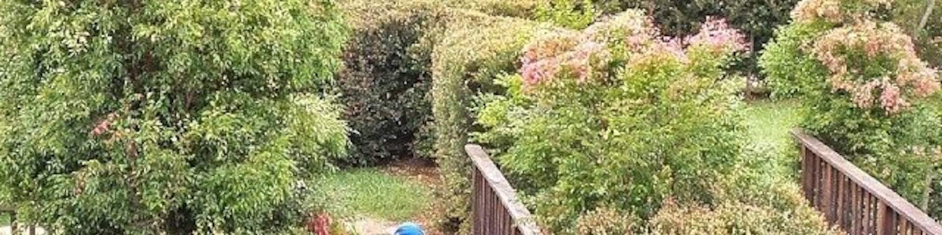 Bago Vineyards have an awesome hedge maze that is so much fun! Beautiful grounds, wine, coffee & snacks. Well worth a visit! :)