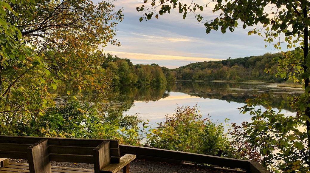 Bench in William O'Brien State Park on St. Croix River in Minnesota.