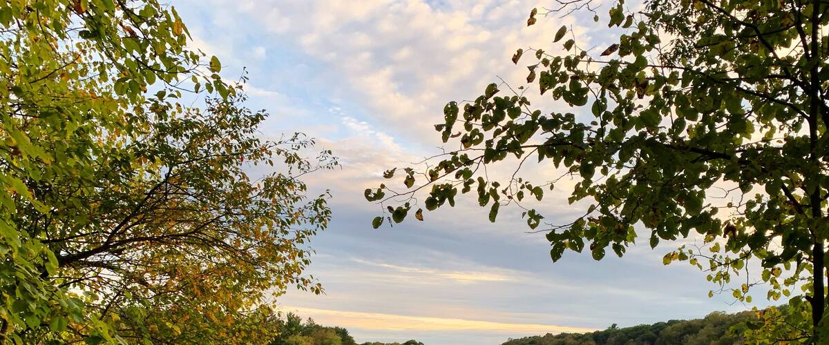 Bench in William O'Brien State Park on St. Croix River in Minnesota.