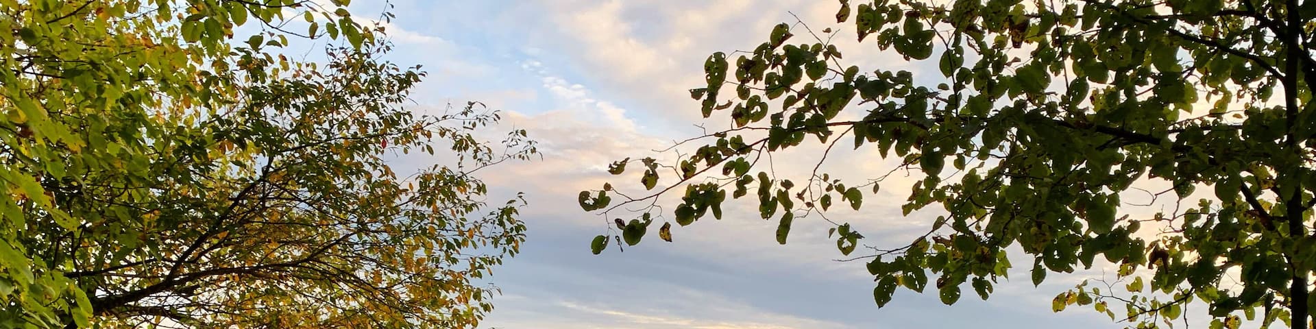 Bench in William O'Brien State Park on St. Croix River in Minnesota.