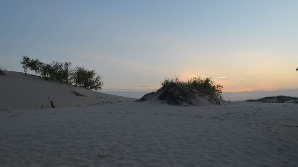 A desert landscape with sand dunes and sparse vegetation.