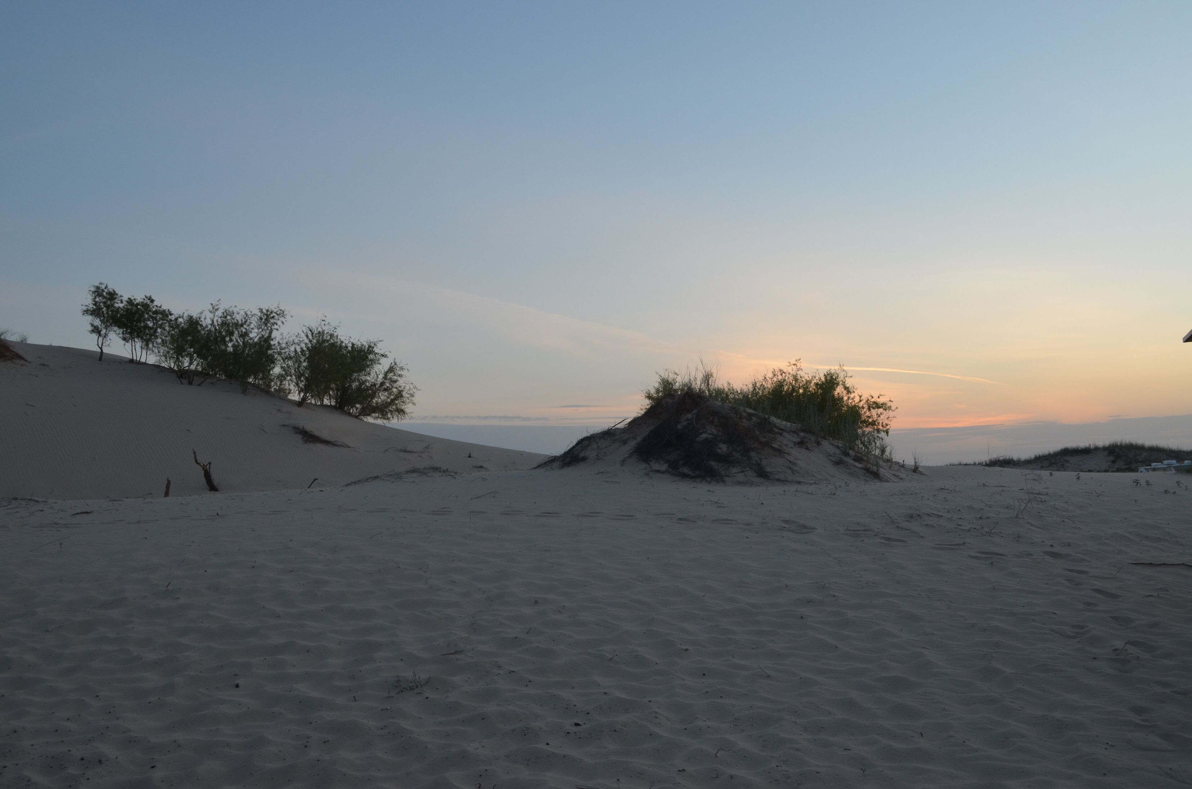 A desert landscape with sand dunes and sparse vegetation.