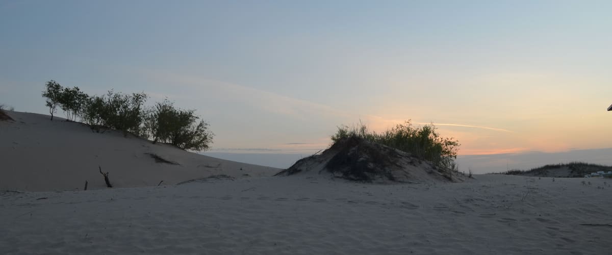 A desert landscape with sand dunes and sparse vegetation.