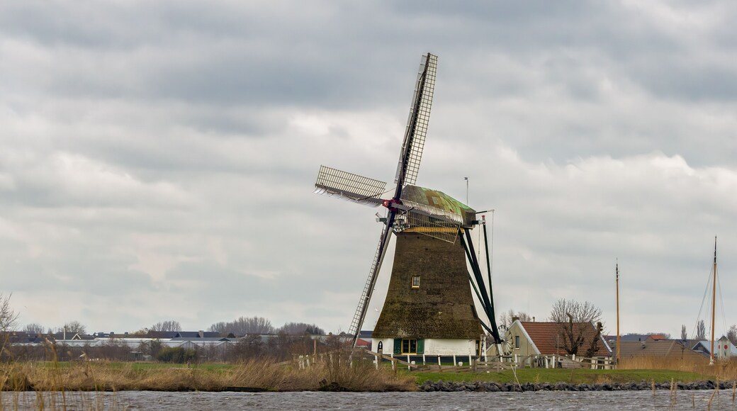 罗伊洛菲伦德斯温