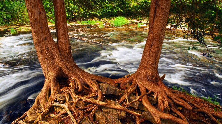 Two Creeks State Park