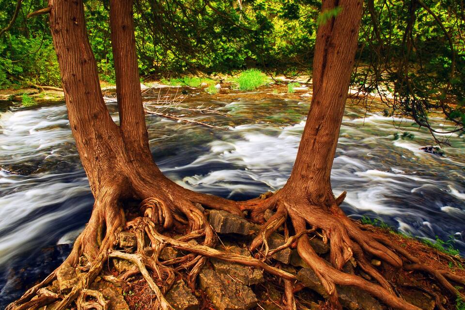 A river with flowing water, surrounded by trees and rocks.