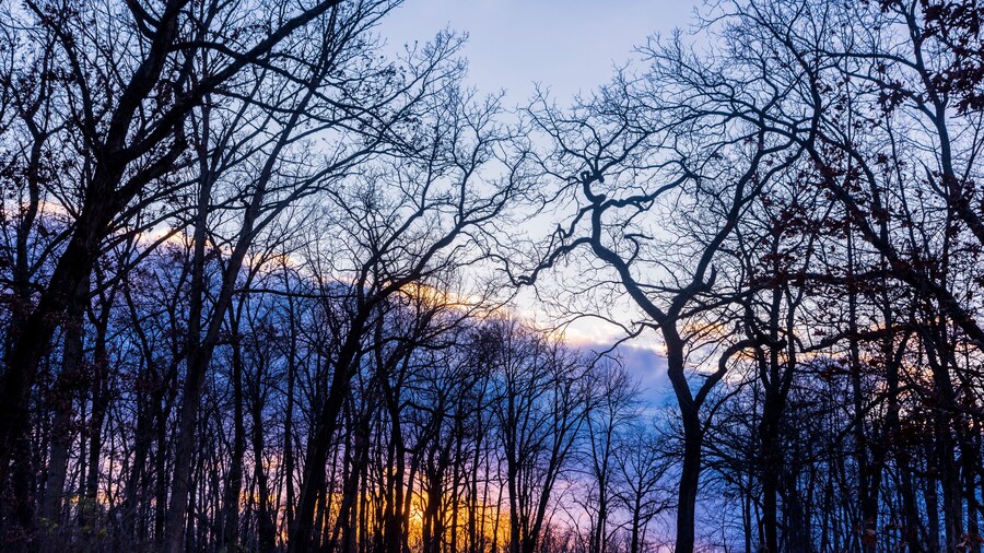 ニューグララスウッズ州立公園