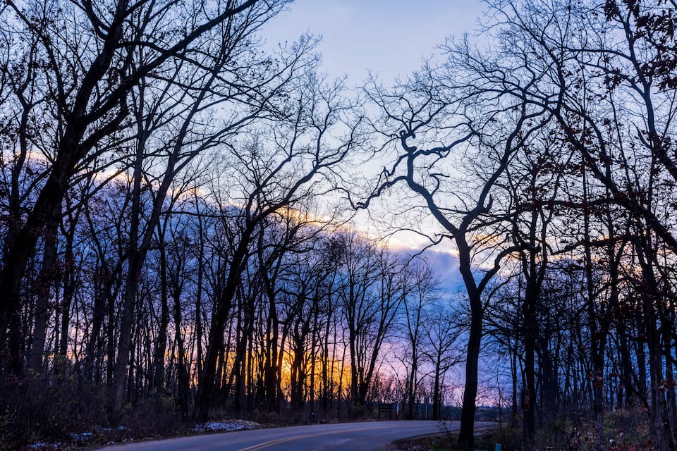 Une route traversant une forêt où les arbres sont sans feuilles, avec un coucher de soleil en arrière-plan.