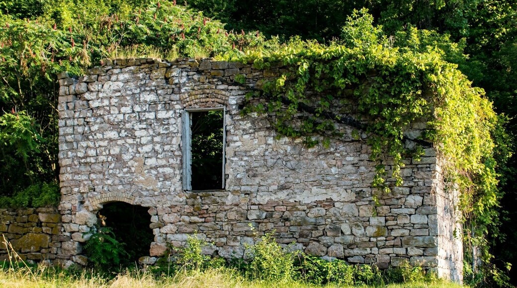 Old Limestone Kiln building.