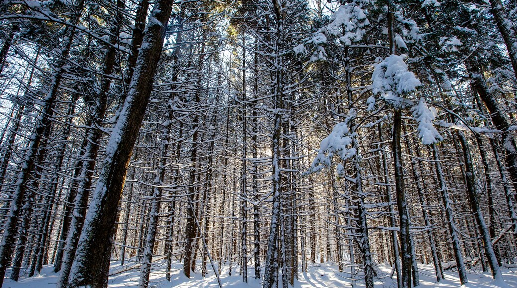 Council Grounds State Park