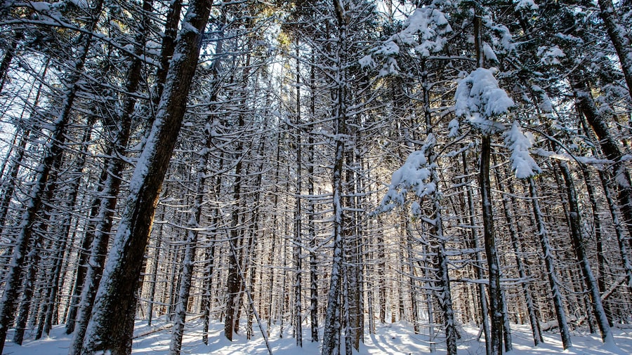 Council Grounds State Park