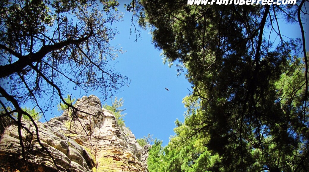 Roche-a-Cri State Park