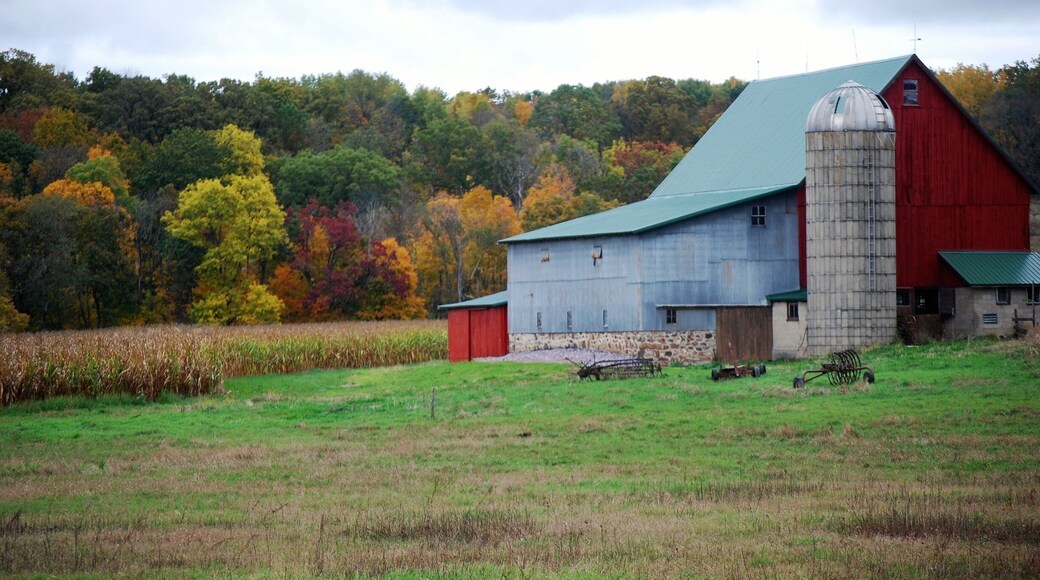 Old barn in the fall.
