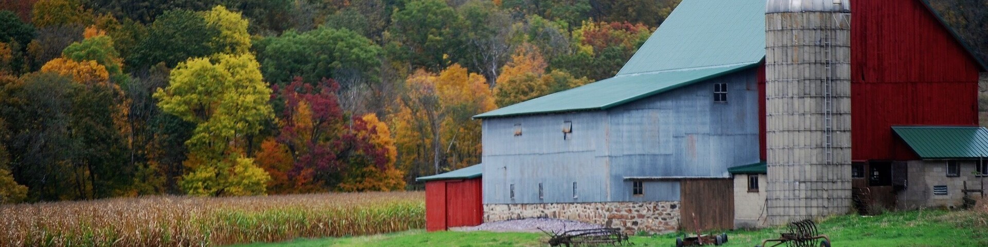 Old barn in the fall.
