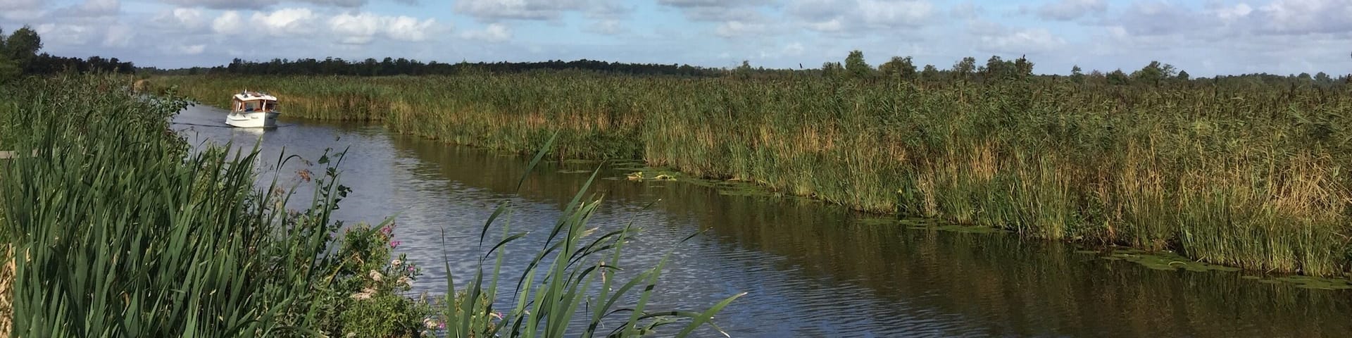 Netherlands landscape