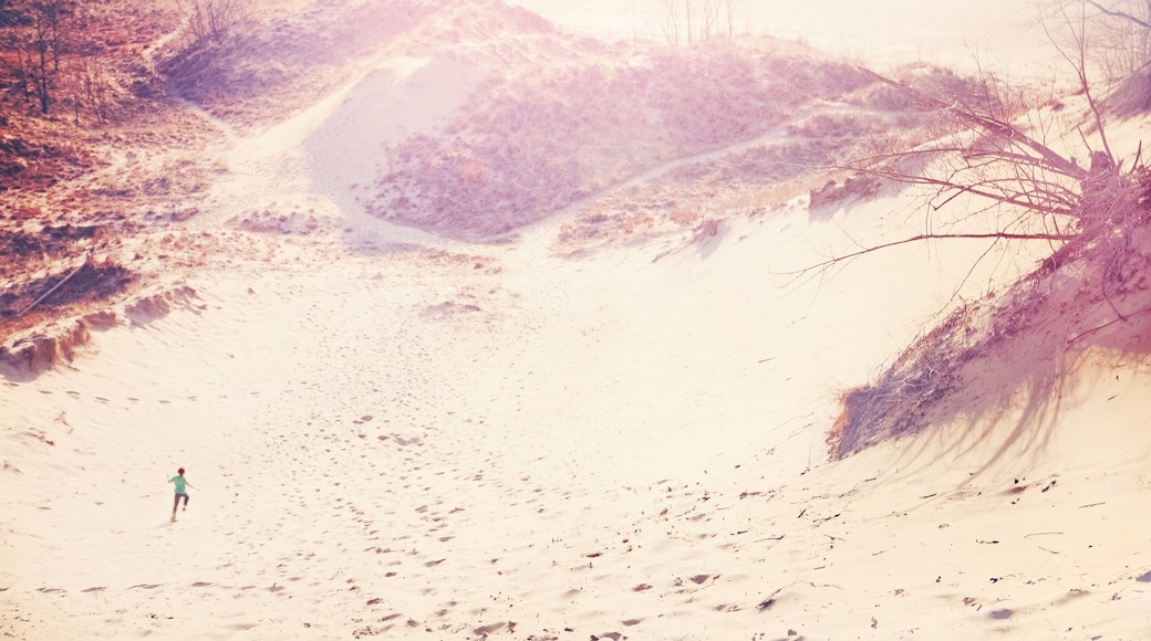 Grand Mere State Park