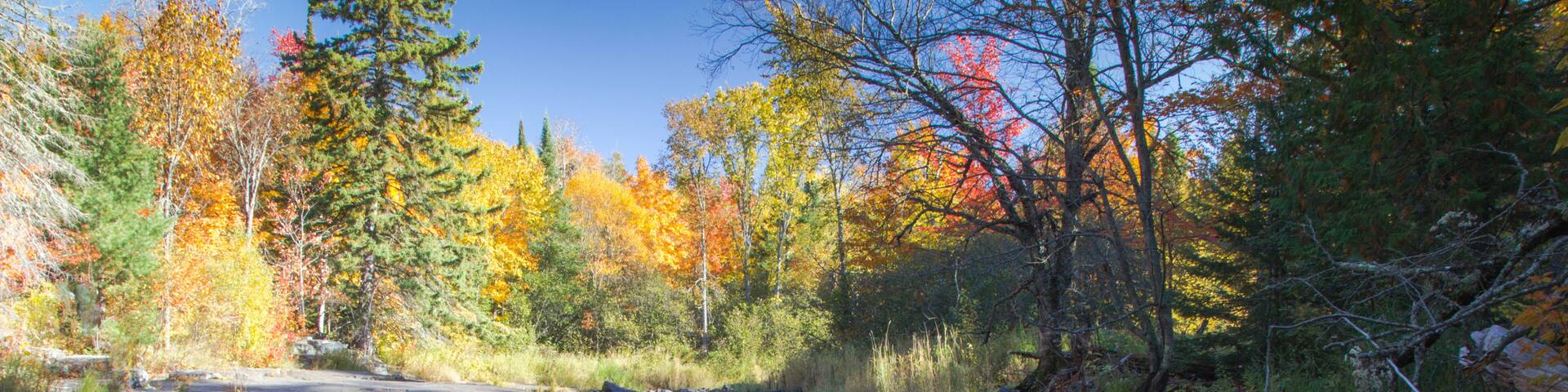 Autumn Forest River Landscape, Vibrant all foliage reflected in wilderness river at the Canyon Falls Scenic Site in the Upper Peninsula of Michigan.