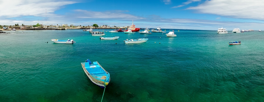 marina in san cristobal galapagos islands ecuador