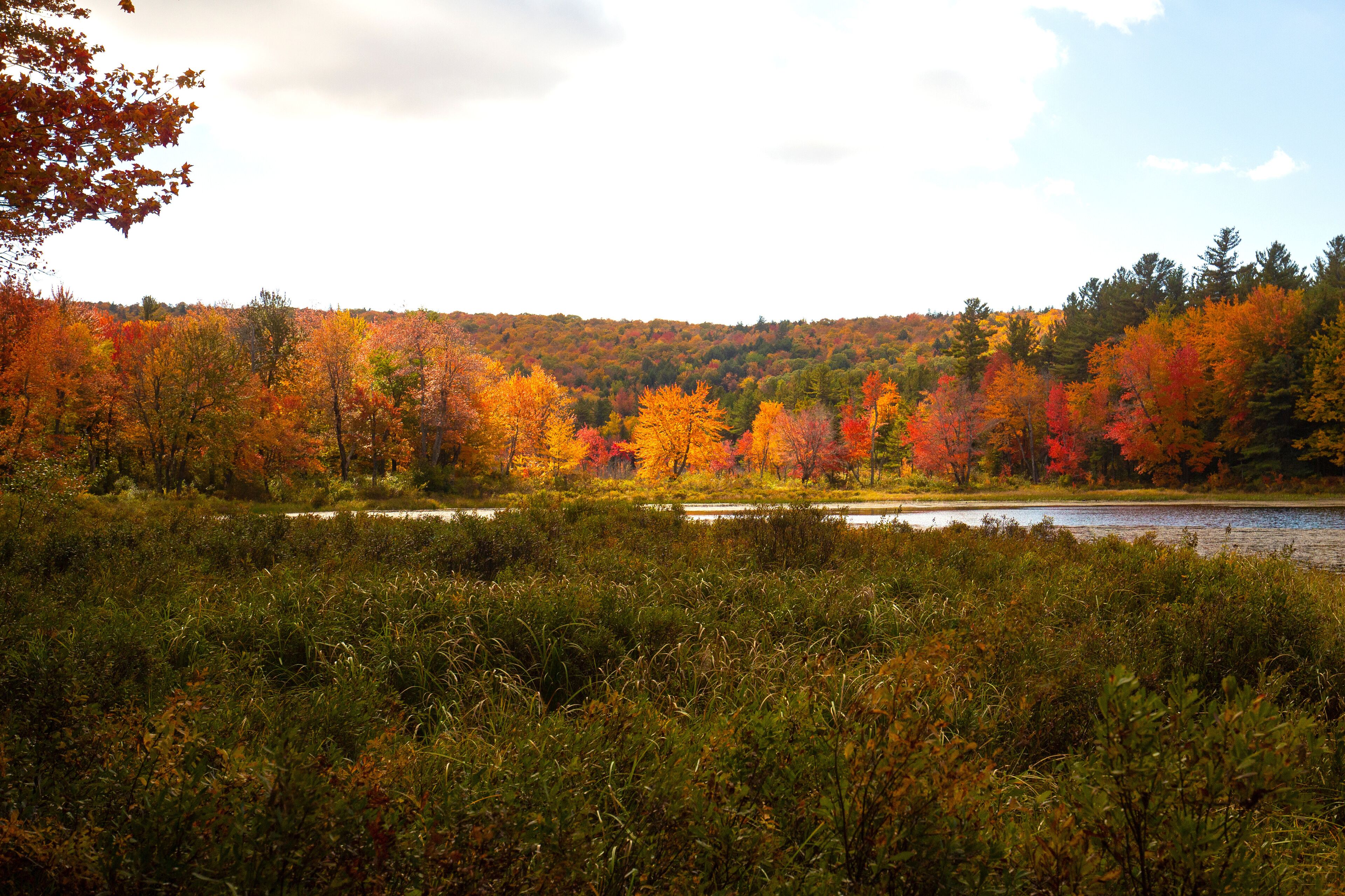 Sun spotlight illuminates fall foliage at Morey Pond, New Hampshire.