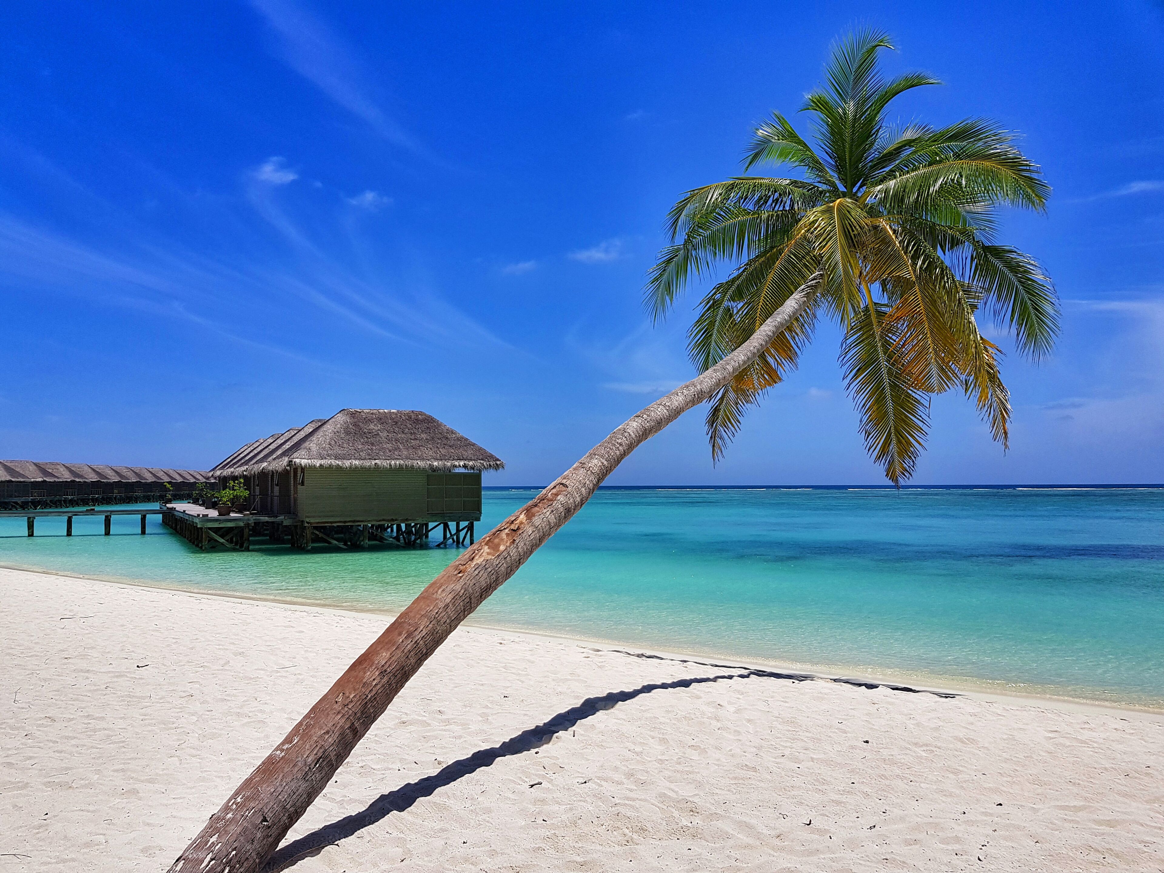 Dhiffushi