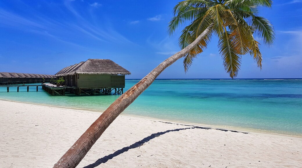 Dhiffushi