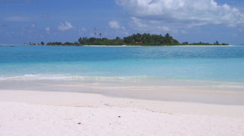 Dhiffushi
