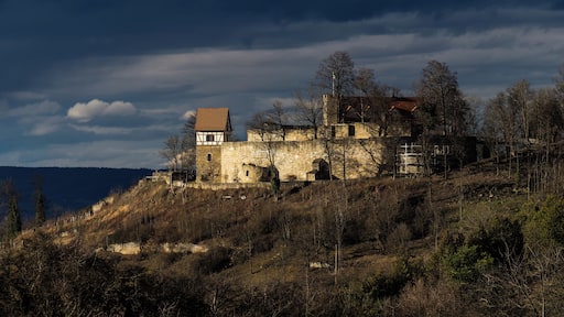 Castle Kรถnigsberg seen from the south