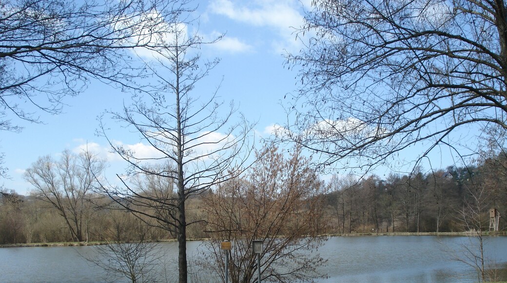 Der Sterzenbachweiher