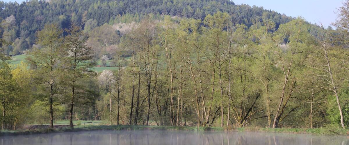 A calm lake with trees in the foreground and a hill with a tall structure in the background.