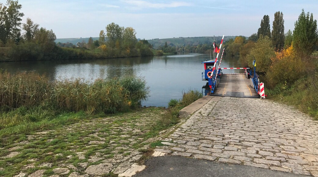 Ferry across the River Main