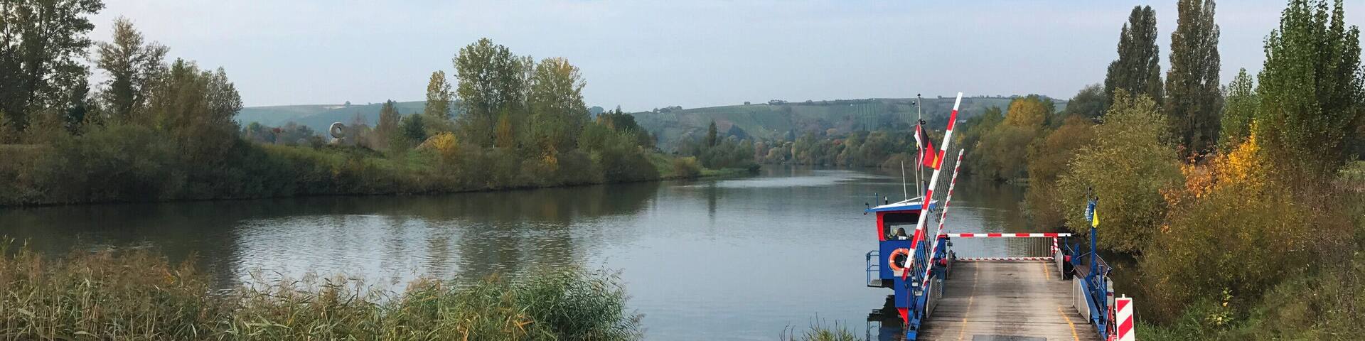 Ferry across the River Main