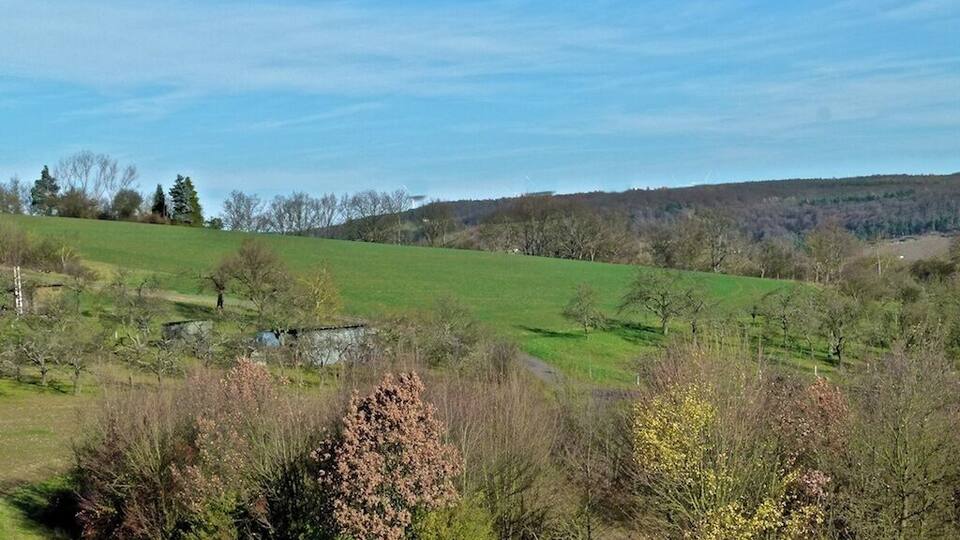 A green field with trees and a hill in the background.