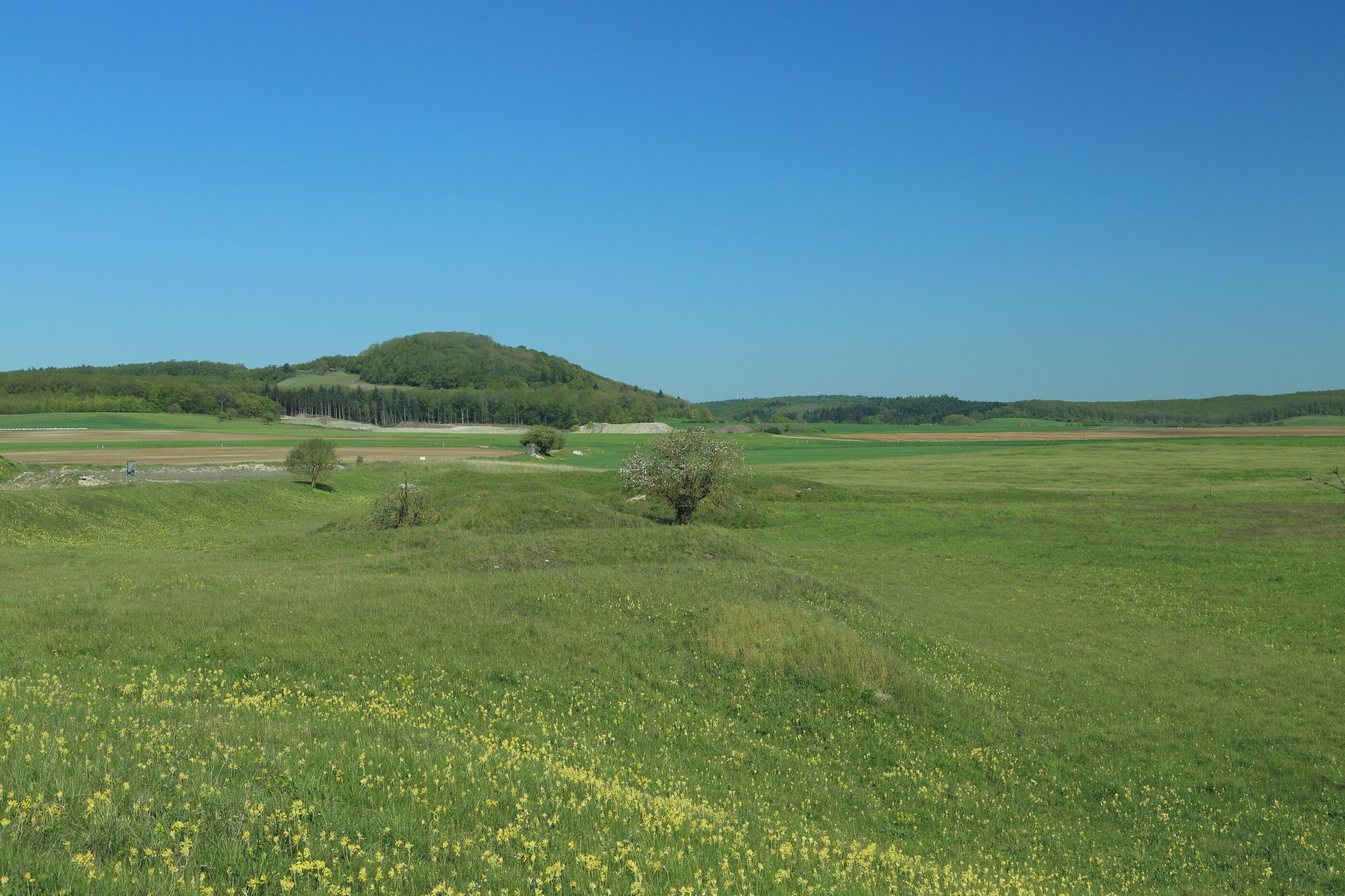 Höllern , Sieben-Buckel
