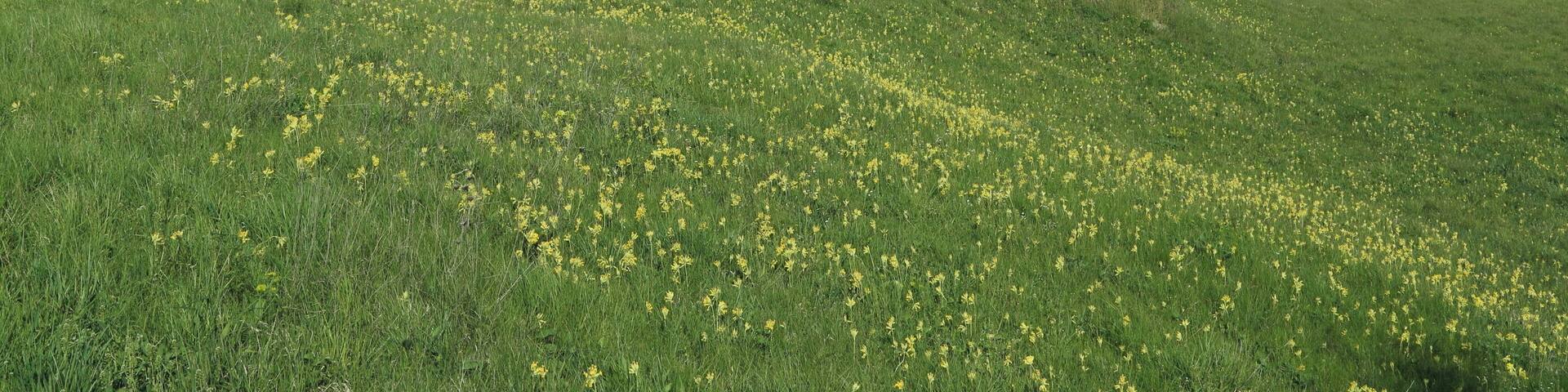 Höllern , Sieben-Buckel