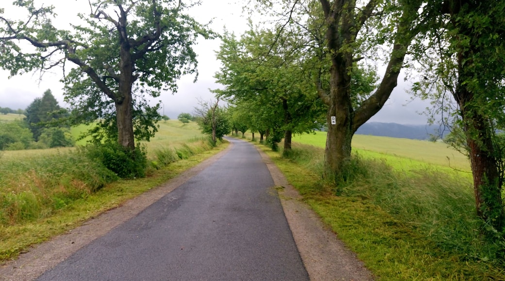 Der Degen-Weg bei Rappach