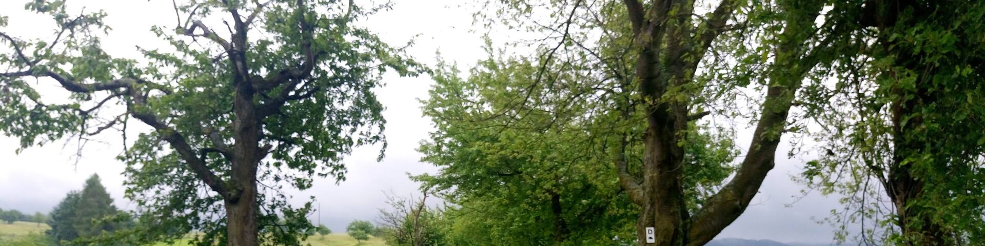 Der Degen-Weg bei Rappach