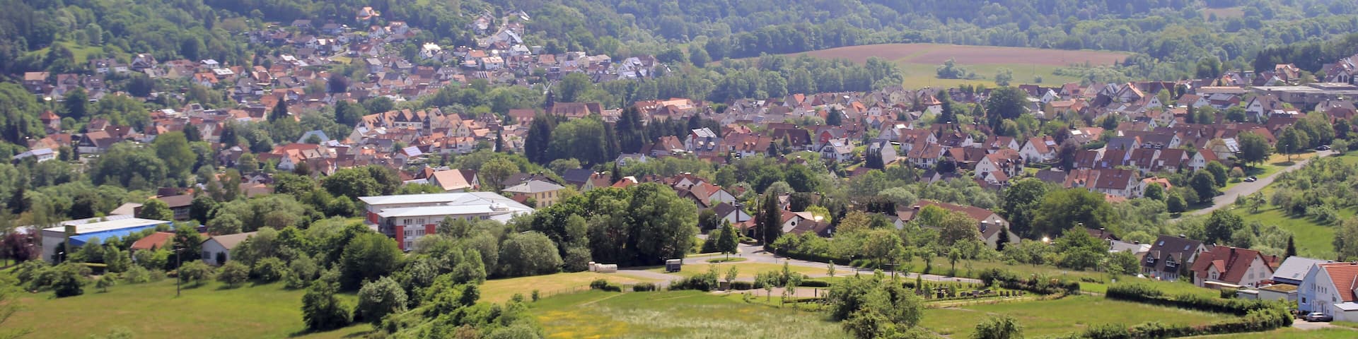 A rural landscape with a village, green fields, and rolling hills in the background.