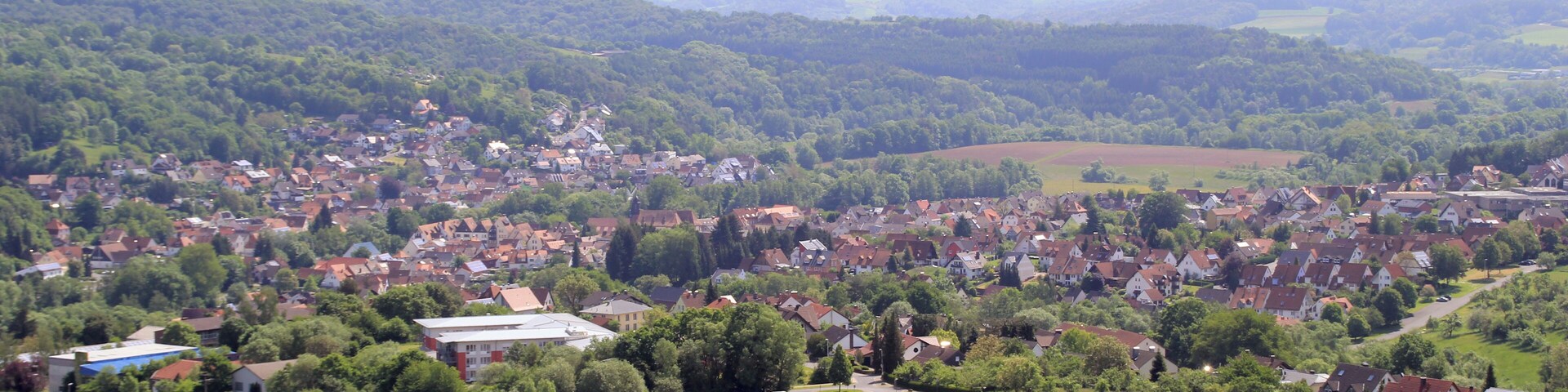 A rural landscape with a village, green fields, and rolling hills in the background.