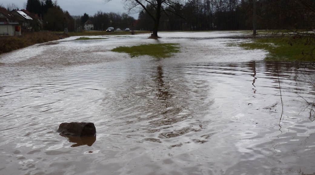 Das Kahlhochwasser im Dezember 2012 in Frohnhofen