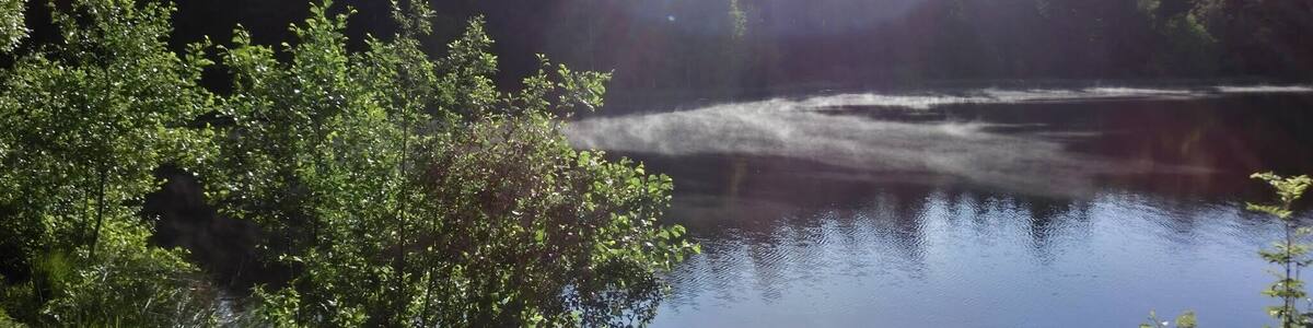 Morgens am Nageler See