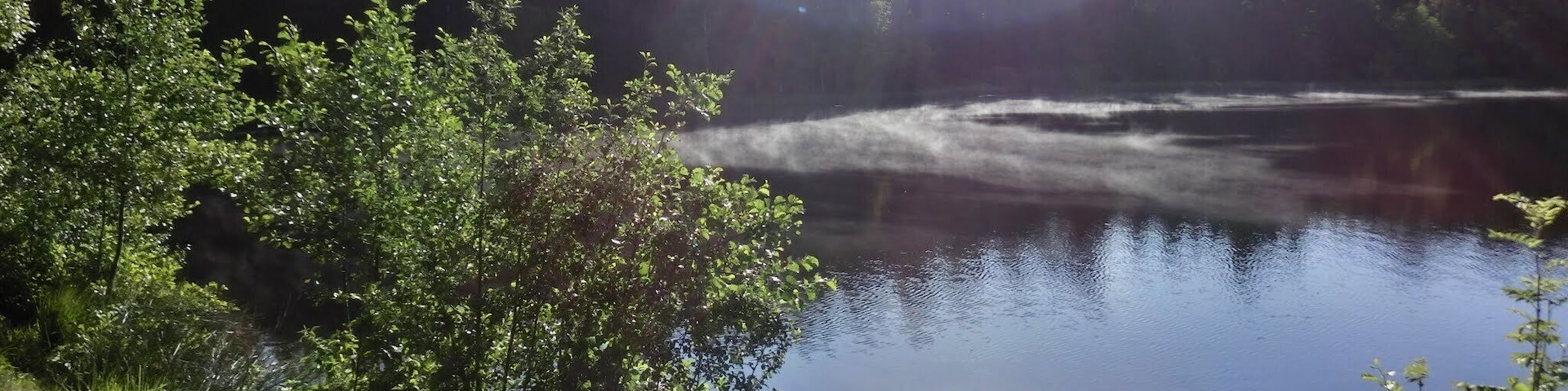 Morgens am Nageler See