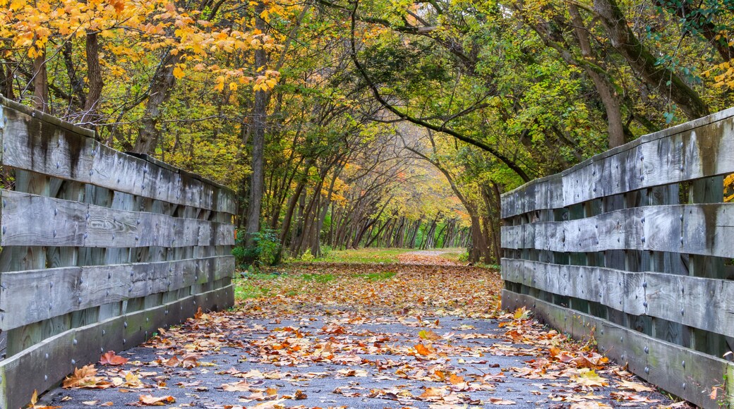 Little Miami State Park