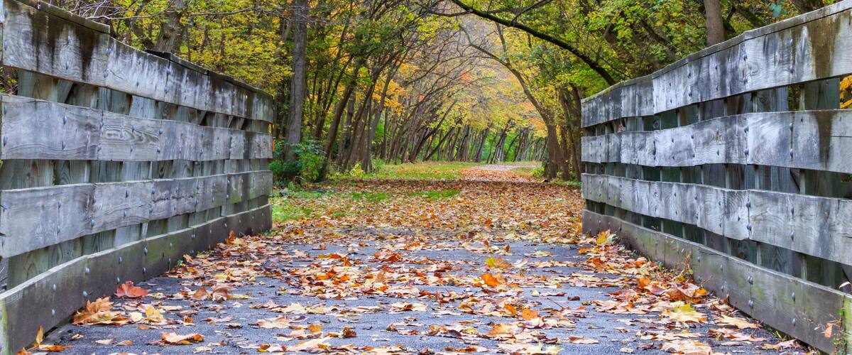 Bike Path Bridge in Autumn