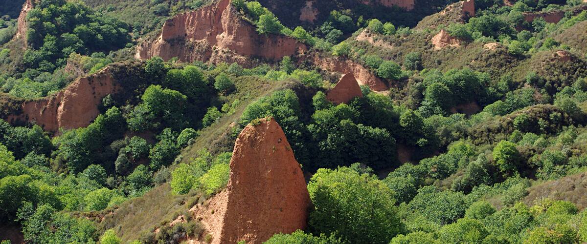 A rugged landscape with prominent red rock formations and dense green vegetation.