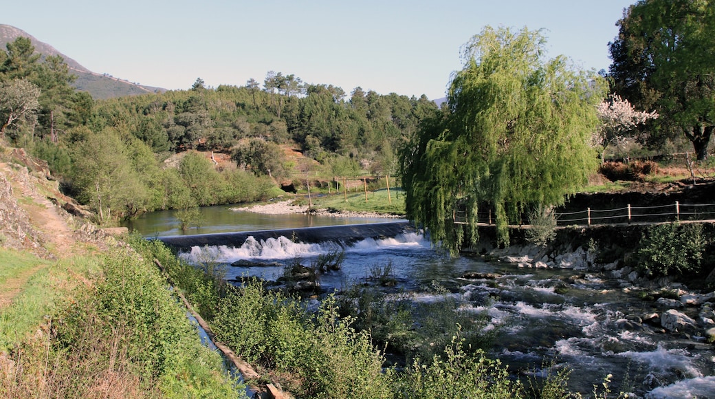 皮诺夫兰克阿多