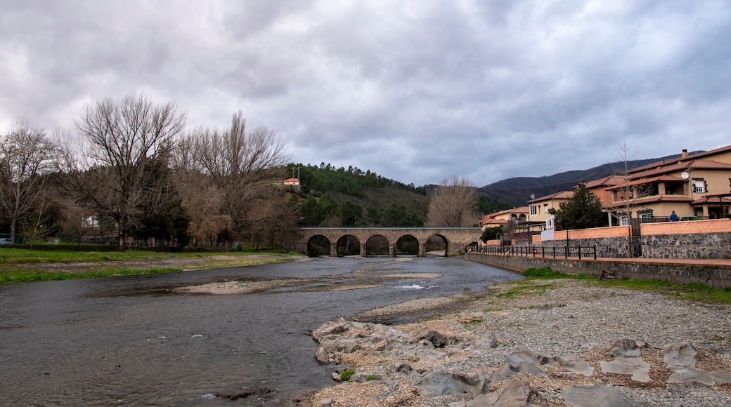 皮诺夫兰克阿多