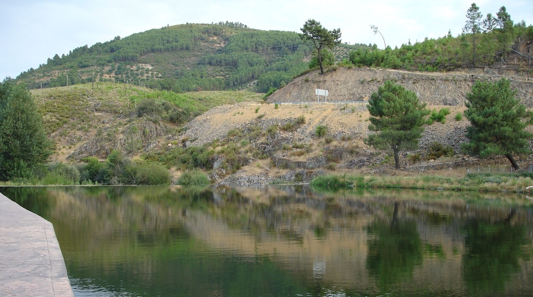 Reflejos en la presa