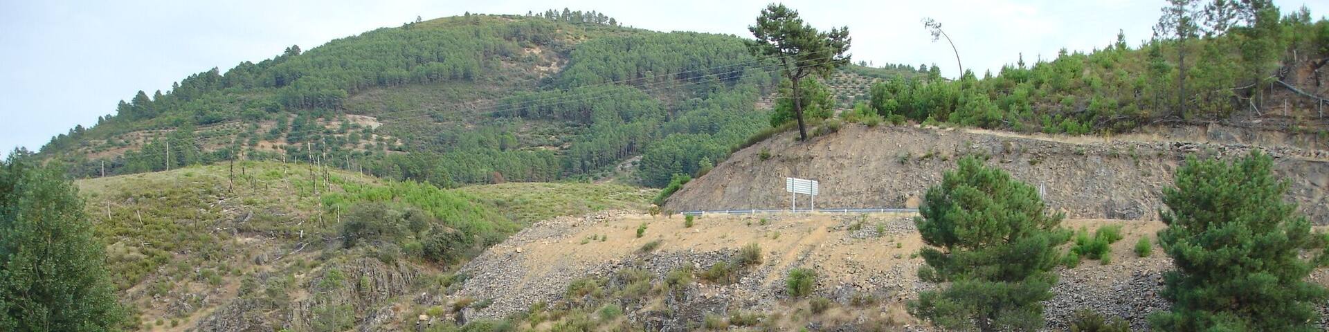 Reflejos en la presa