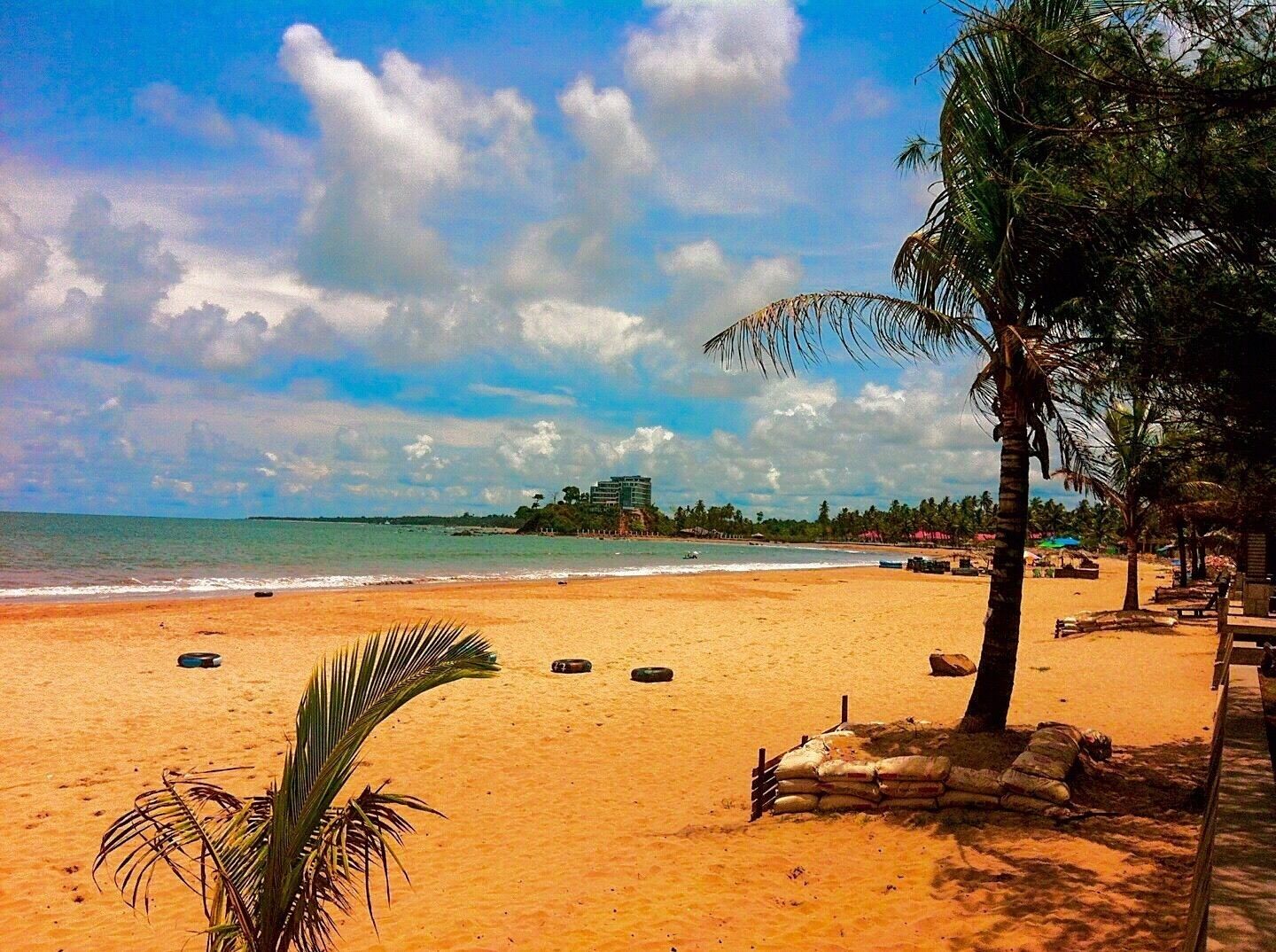 A beach with palm trees, a sandy shore, and a building in the background.
